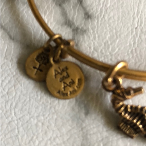 ALEX AND ANI bracelet - Picture 3 of 4